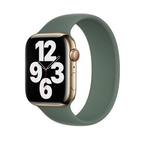 Apple Solo Loop Sport Band in Eucalyptus